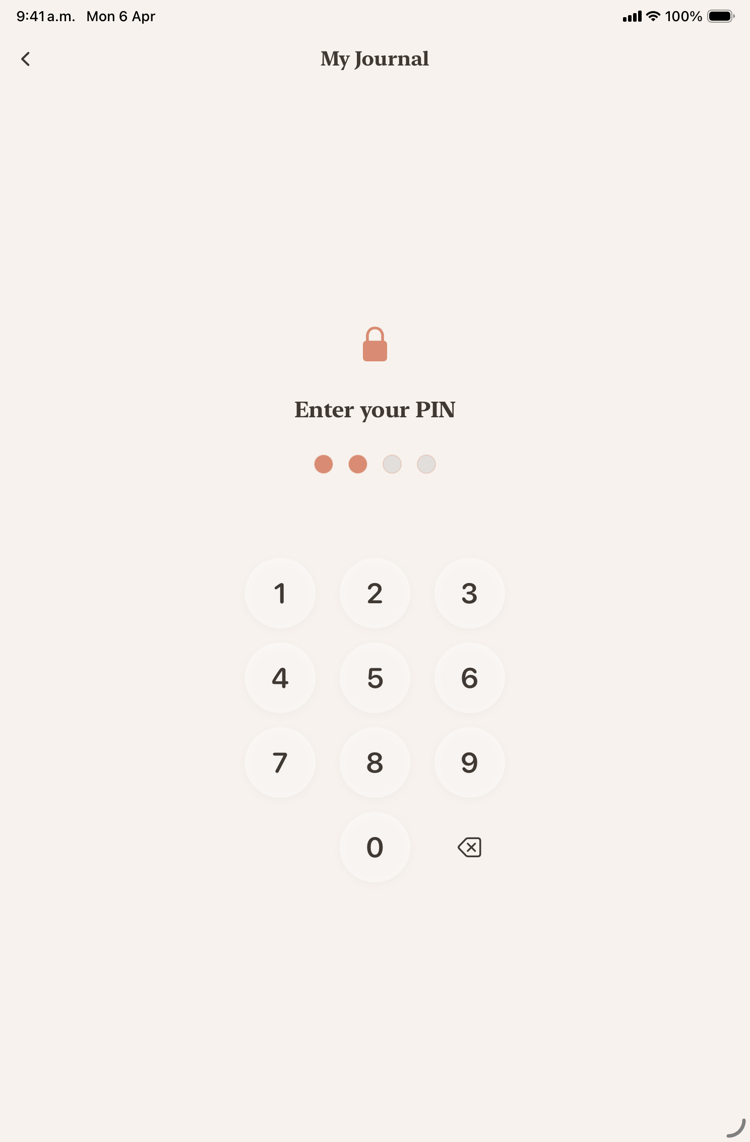 iPad Security